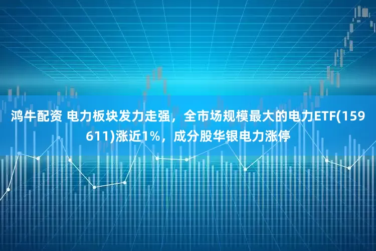 鸿牛配资 电力板块发力走强，全市场规模最大的电力ETF(159611)涨近1%，成分股华银电力涨停