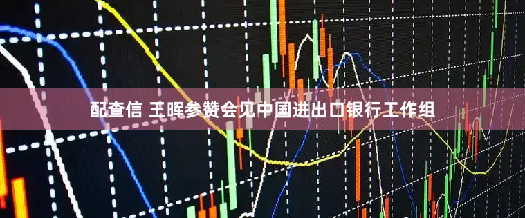 配查信 王晖参赞会见中国进出口银行工作组