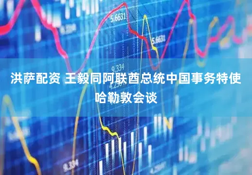 洪萨配资 王毅同阿联酋总统中国事务特使哈勒敦会谈
