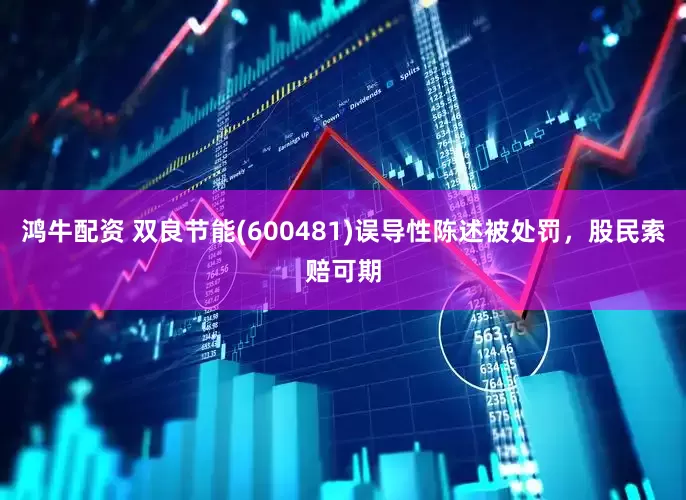 鸿牛配资 双良节能(600481)误导性陈述被处罚，股民索赔可期