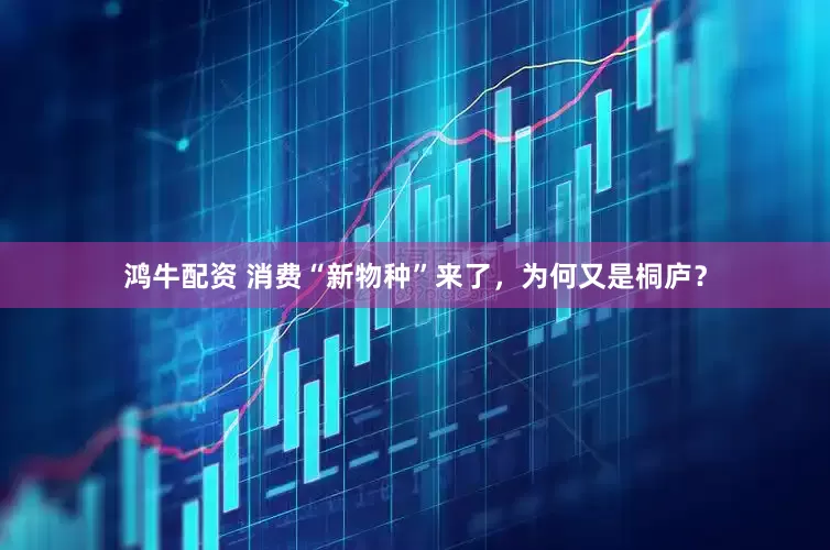 鸿牛配资 消费“新物种”来了，为何又是桐庐？